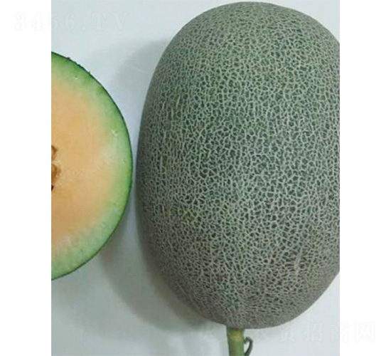 ������18̖(h��o)-��ϷN��-����