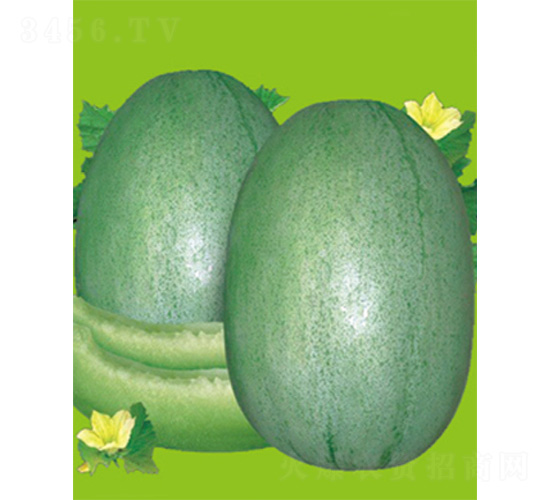 �G����̖-��ϷN��-����