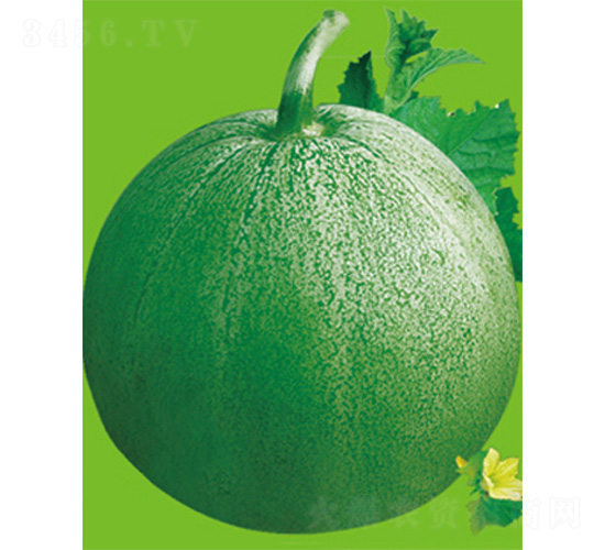 �G����̖-��ϷN��-����