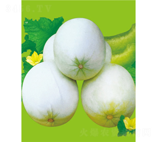 ���S��̖(h��o)-��ϷN��-����