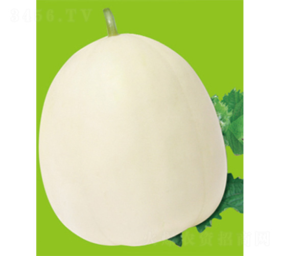 ���S��̖(h��o)-��ϷN��-����