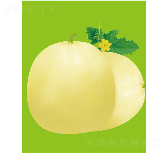 ����19-��ϷN��-����