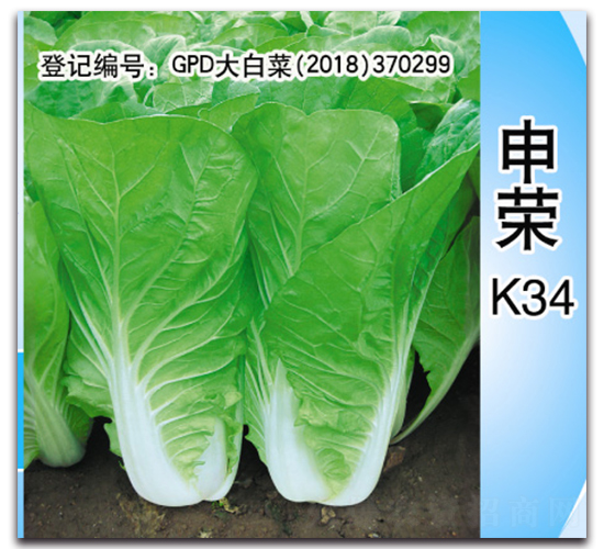 ��sK34-�ײ˷N��-��s�r(n��ng)�I(y��)