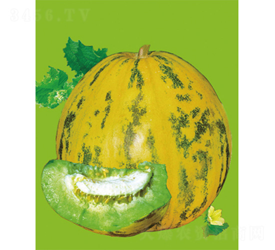 ����-��ϷN��-����