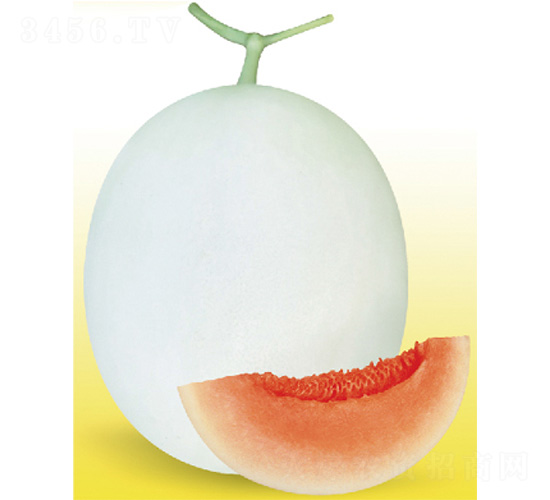 �״�һ̖(h��o)-��ϷN��-����