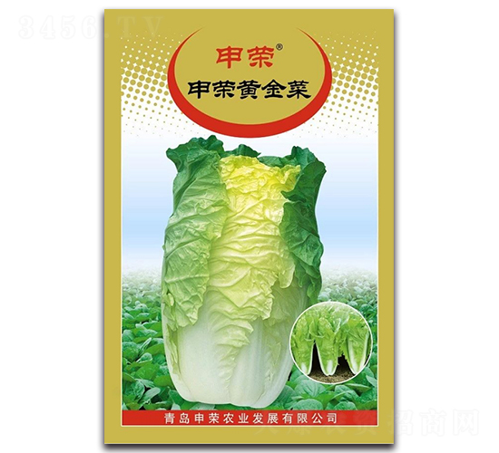 ��s�S���-��˷N��-��s�r(n��ng)�I(y��)