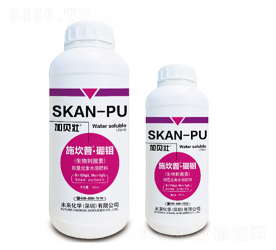 ʩ����-���f-δ��(l��i)���W(xu��)