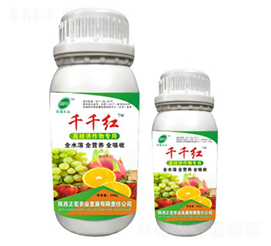 ǧǧ�t-��������