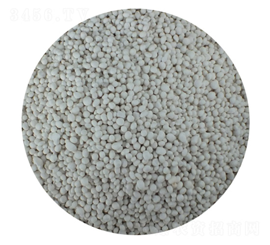 ������������С�w����-����������