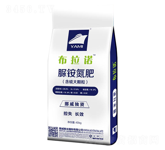 �������-�����Z-��������