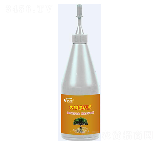 ��伤����-�ݠ��S����