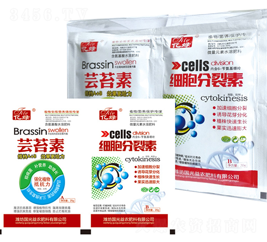 �|̦��+����������-�������r(n��ng)