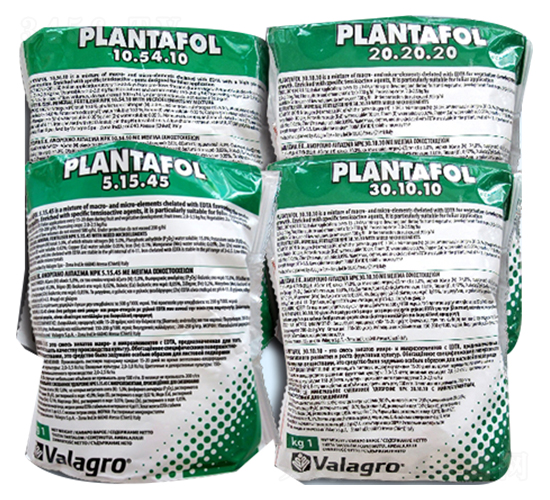 ���︣-�r(n��ng)��ʩ