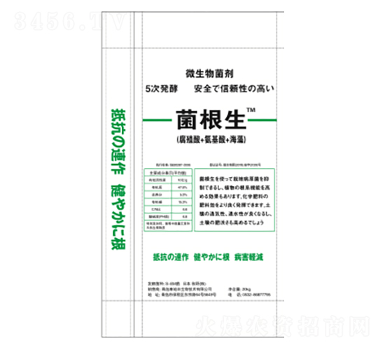 ����������-����