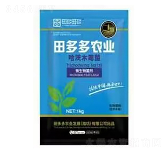 ����ľù��-�����r(n��ng)�I(y��)