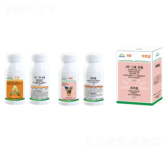 48%2�ס����ǡ��p��+50%����¡-�׻�-¡������