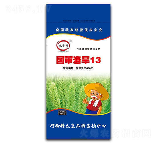 �����庵13��С���N�ӣ�-�Z�мZ-���ڷN�I(y��)