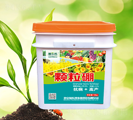 �w����-������