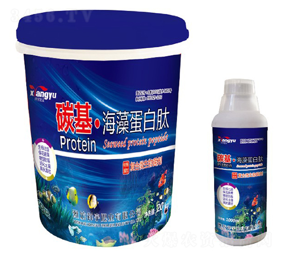 ̼�����嵰����-����ʘI(y��)