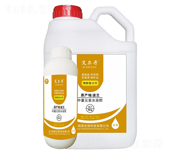 �Ǵ������}-������-�P������