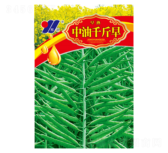 ����ǧ����-�Ͳ˷N��-��Դ�r�I(y��)