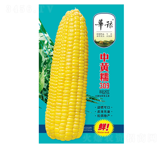 ���SŴ309-���׷N��-��Դ�r(n��ng)�I(y��)