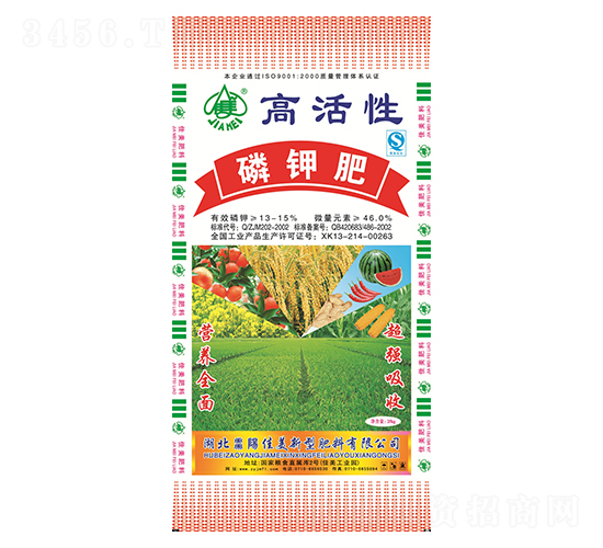 �߻�����⛷�-����