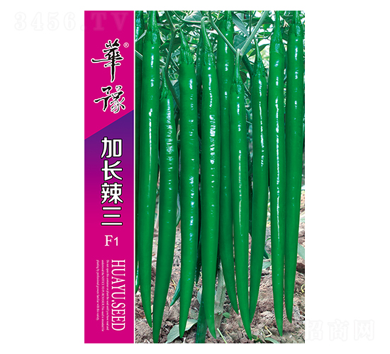 ���L����F1-�����N��-��Դ�r�I(y��)