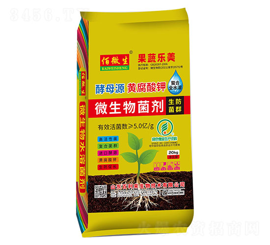 ΢�������-���ߘ���-������