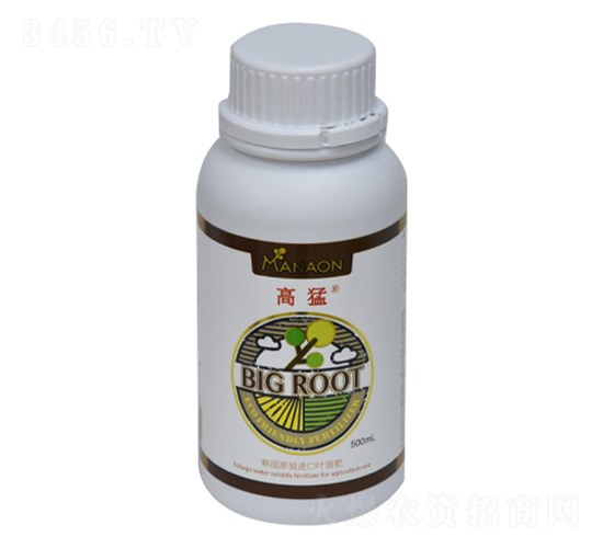 ���¸��o�������-����-��������