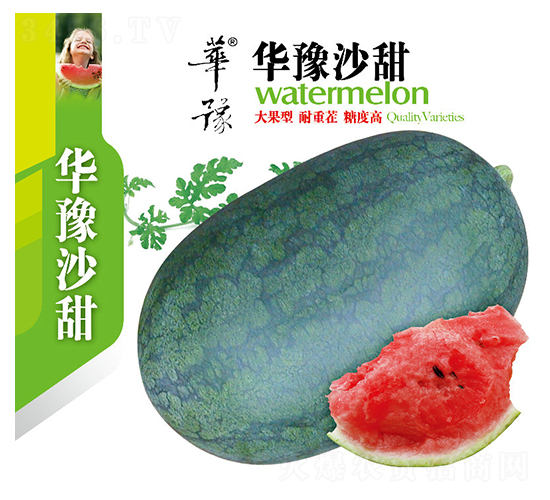 �Aԥɳ��-���ϷN��-��Դ�r(n��ng)�I(y��)