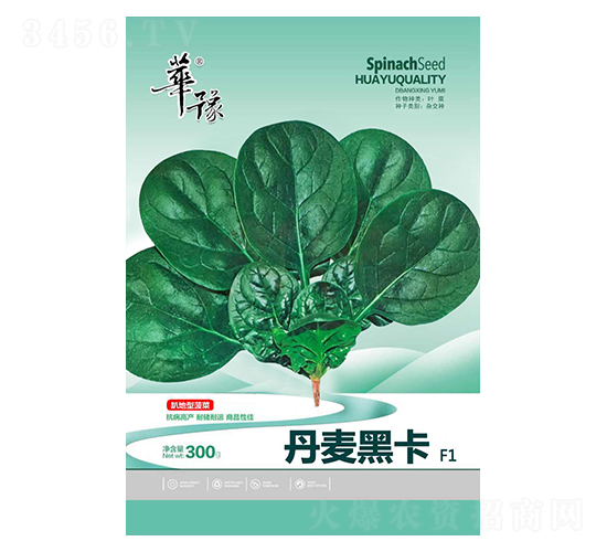 �����ڿ�-���˷N��-��Դ�r(n��ng)�I(y��)