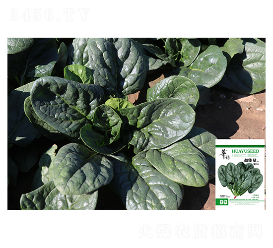 ������-���˷N��-��Դ�r(n��ng)�I(y��)