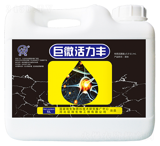 ��΢�����S-��������