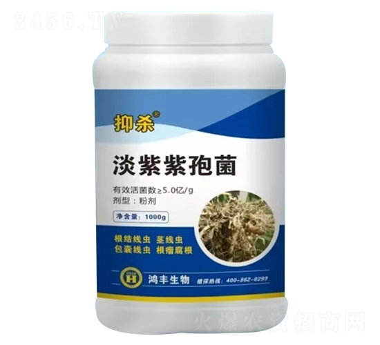 �������߾�-�֚�-���S����