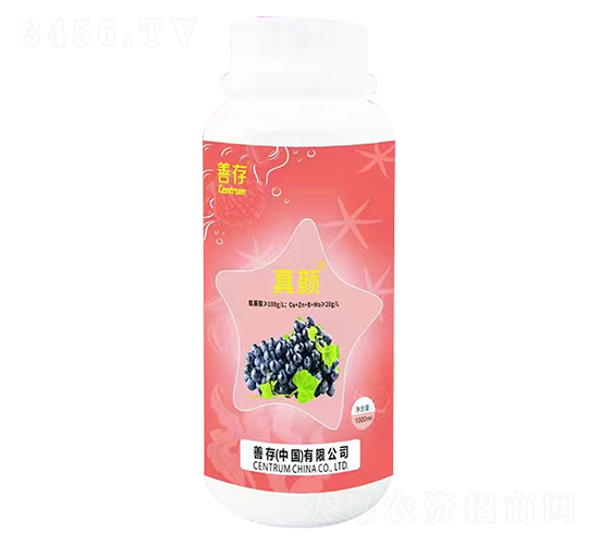 ����~���-�ƴ�����