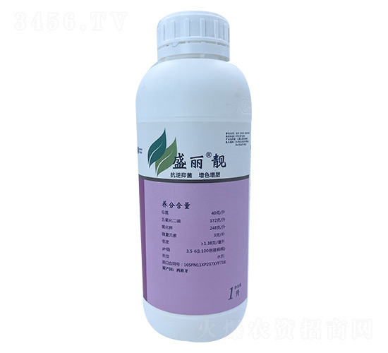 ʢ���n-��Ȼ��