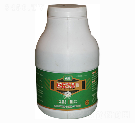 �ز����-���