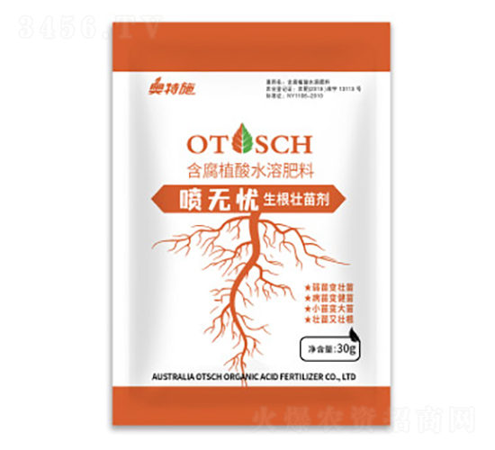 ���o�n�������焩-�W��ʩ