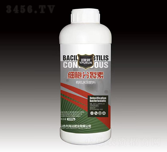 ��(x��)��������-һ������(l��i)