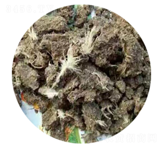 ���u�S-�ָ���