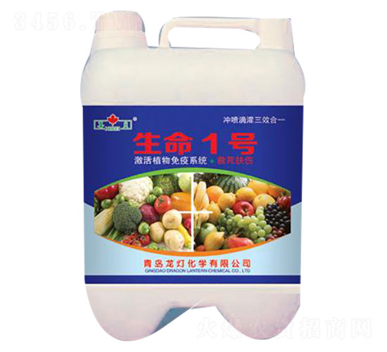 ����1̖(h��o)-����-����