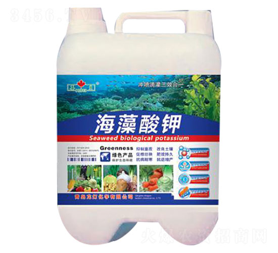 �������-����-����