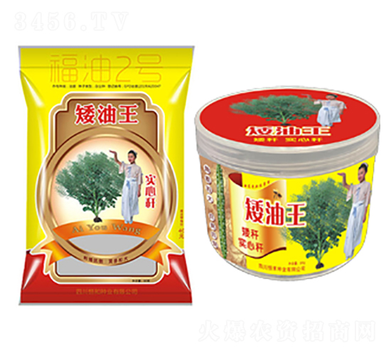 �Ͳ˷N��-������(����2̖)-��̷N�I(y��)