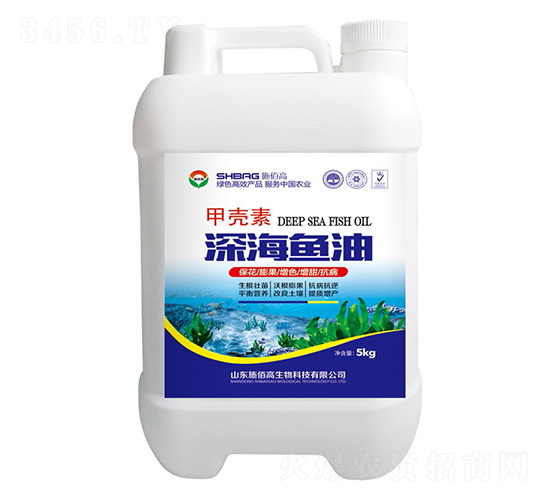 �ך�����~��-ʩ�۸�