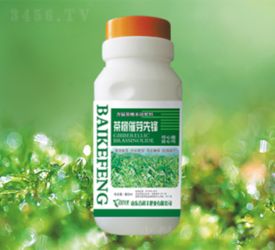 ����ѿ���h-�ٿ��S