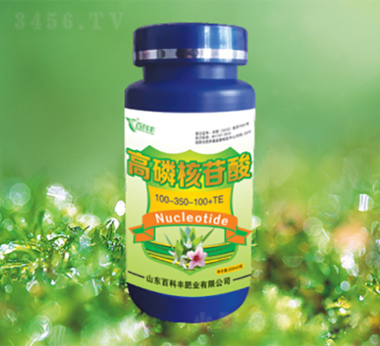 ���׺�����100-300-100+TE-�ٿ��S