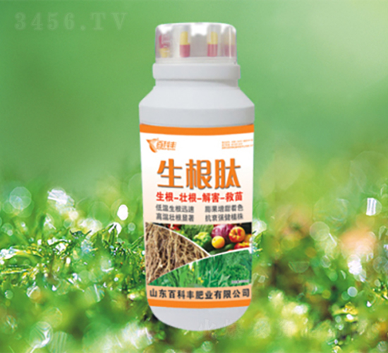 ������-�ٿ��S