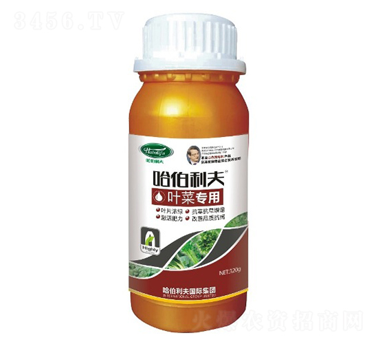 �~�ˌ���-��������