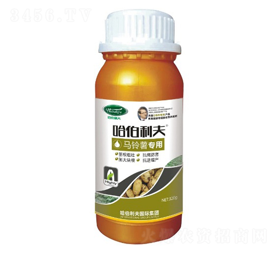 �R��팣��-��������